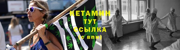 индика Осташков