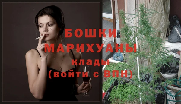 индика Осташков