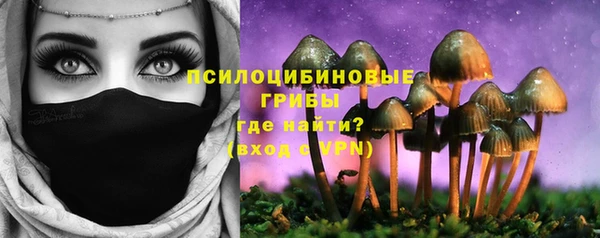 эйфоретик Алексин