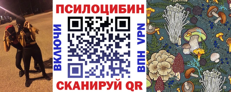 Галлюциногенные грибы Psilocybine cubensis  купить наркотик  Похвистнево 