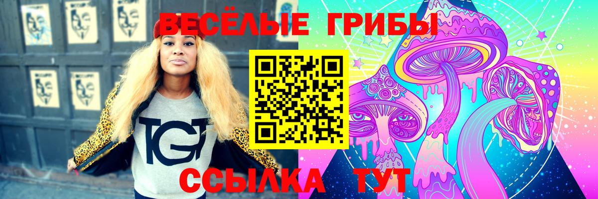 Псилоцибиновые грибы мицелий  купить наркоту  Похвистнево  Вход с VPN 